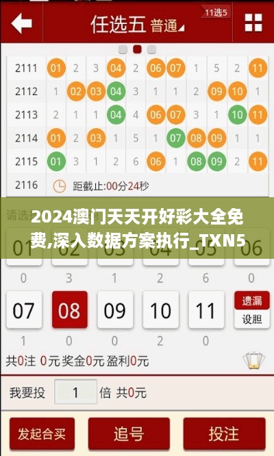 2024澳门天天开好彩大全免费,深入数据方案执行_TXN5.64.52效率版