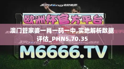 澳门管家婆一肖一码一中,实地解析数据评估_PHN5.70.35