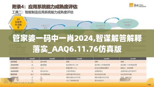 管家婆一码中一肖2024,智谋解答解释落实_AAQ6.11.76仿真版