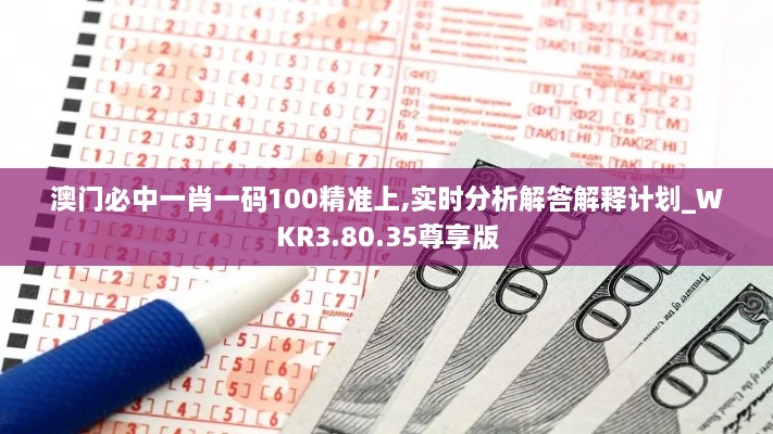 澳门必中一肖一码100精准上,实时分析解答解释计划_WKR3.80.35尊享版