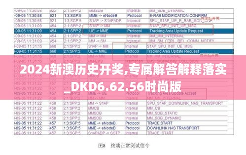 2024新澳历史开奖,专属解答解释落实_DKD6.62.56时尚版