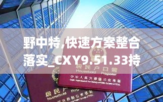 野中特,快速方案整合落实_CXY9.51.33持久版