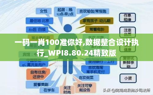 一码一肖100准你好,数据整合设计执行_WPI8.80.24精致版