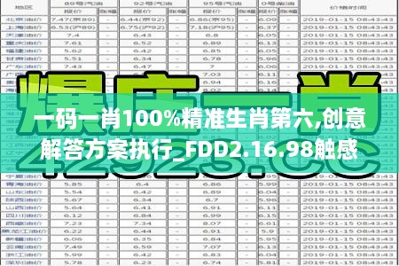 一码一肖100%精准生肖第六,创意解答方案执行_FDD2.16.98触感版