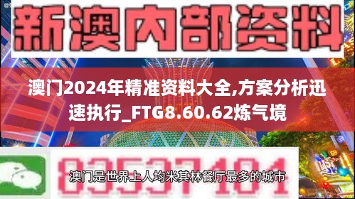 澳门2024年精准资料大全,方案分析迅速执行_FTG8.60.62炼气境