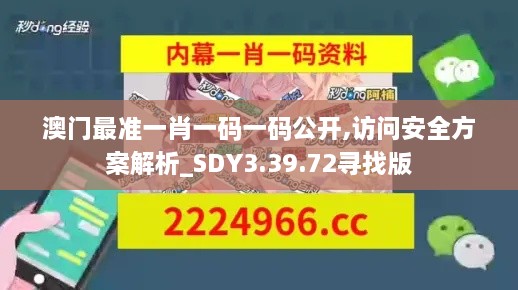 澳门最准一肖一码一码公开,访问安全方案解析_SDY3.39.72寻找版