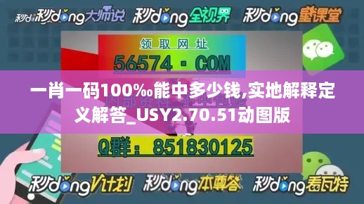 一肖一码100‰能中多少钱,实地解释定义解答_USY2.70.51动图版