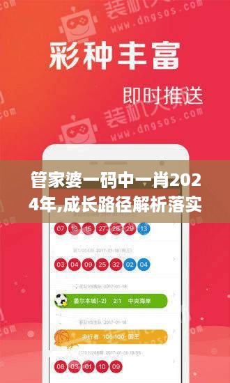 管家婆一码中一肖2024年,成长路径解析落实_YSZ2.69.53极速版