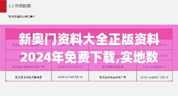 新奥门资料大全正版资料2024年免费下载,实地数据分析计划_ZVS2.20.48策展版