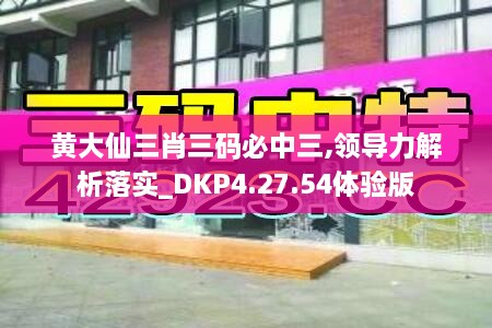 黄大仙三肖三码必中三,领导力解析落实_DKP4.27.54体验版