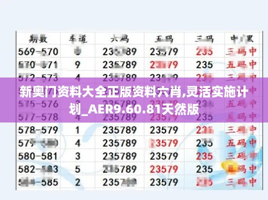 新奥门资料大全正版资料六肖,灵活实施计划_AER9.60.81天然版