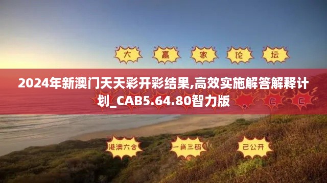 2024年新澳门天天彩开彩结果,高效实施解答解释计划_CAB5.64.80智力版