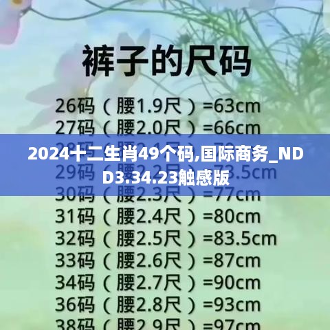 2024十二生肖49个码,国际商务_NDD3.34.23触感版