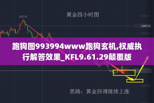 跑狗图993994www跑狗玄机,权威执行解答效果_KFL9.61.29颠覆版