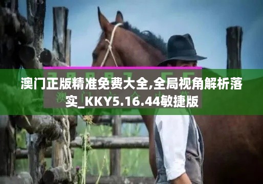 澳门正版精准免费大全,全局视角解析落实_KKY5.16.44敏捷版