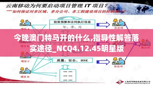 今晚澳门特马开的什么,指导性解答落实途径_NCQ4.12.45明星版