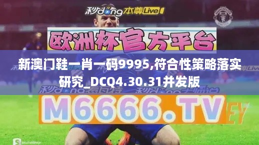 新澳门鞋一肖一码9995,符合性策略落实研究_DCQ4.30.31并发版