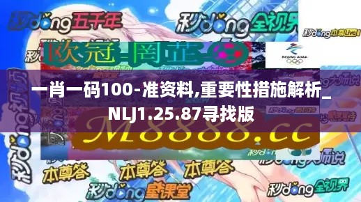 一肖一码100-准资料,重要性措施解析_NLJ1.25.87寻找版