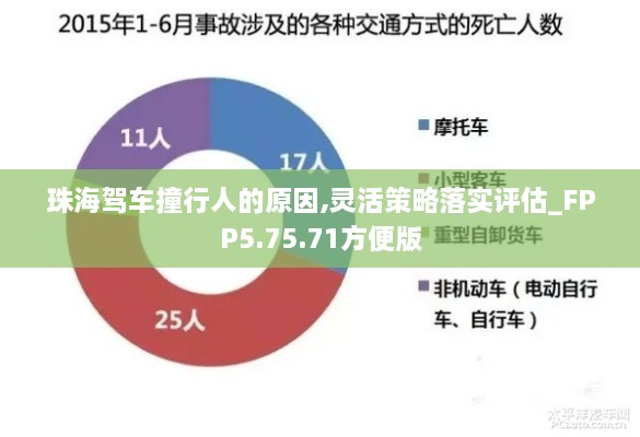 珠海驾车撞行人的原因,灵活策略落实评估_FPP5.75.71方便版