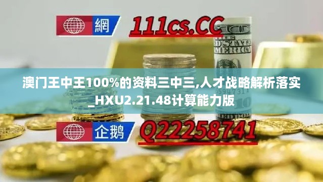 澳门王中王100%的资料三中三,人才战略解析落实_HXU2.21.48计算能力版