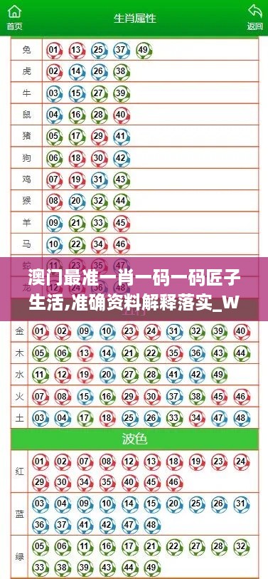 澳门最准一肖一码一码匠子生活,准确资料解释落实_WDS9.39.31初学版