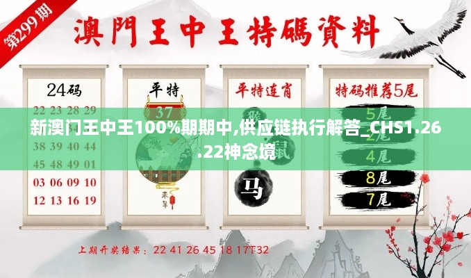 新澳门王中王100%期期中,供应链执行解答_CHS1.26.22神念境