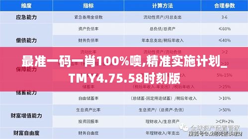 最准一码一肖100%噢,精准实施计划_TMY4.75.58时刻版