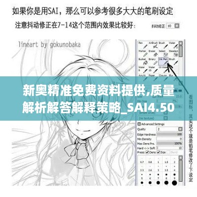 新奥精准免费资料提供,质量解析解答解释策略_SAI4.50.72日常版