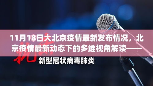 北京疫情最新动态解读，多维视角下的深度剖析（11月18日发布情况为例）