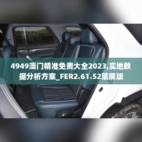 4949澳门精准免费大全2023,实地数据分析方案_FER2.61.52策展版