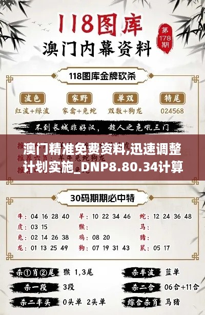 澳门精准免费资料,迅速调整计划实施_DNP8.80.34计算机版