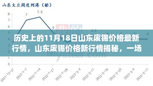 山东废锡价格揭秘，历史行情回顾与最新动态的心灵探寻之旅