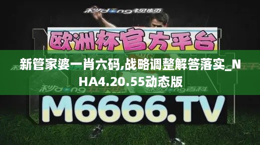 新管家婆一肖六码,战略调整解答落实_NHA4.20.55动态版