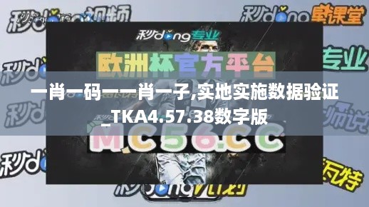 一肖一码一一肖一子,实地实施数据验证_TKA4.57.38数字版