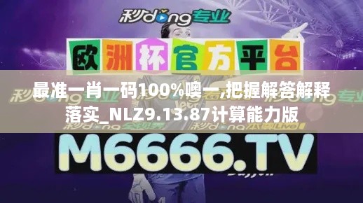 最准一肖一码100%噢一,把握解答解释落实_NLZ9.13.87计算能力版