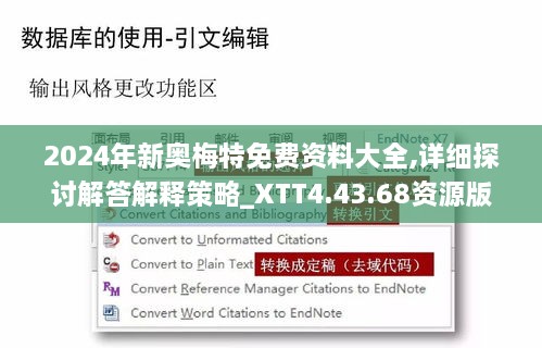 2024年新奥梅特免费资料大全,详细探讨解答解释策略_XTT4.43.68资源版