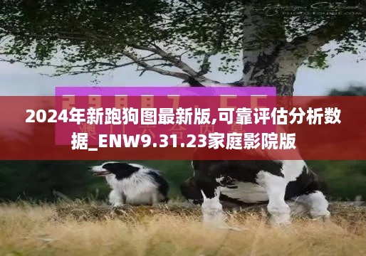 2024年新跑狗图最新版,可靠评估分析数据_ENW9.31.23家庭影院版