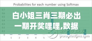 白小姐三肖三期必出一期开奖哩哩,数据分析解释定义_XJI5.55.63动画版