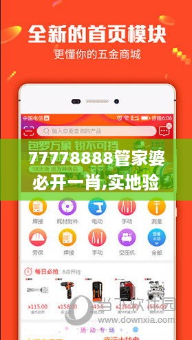 77778888管家婆必开一肖,实地验证解析数据_LHX4.25.95优雅版