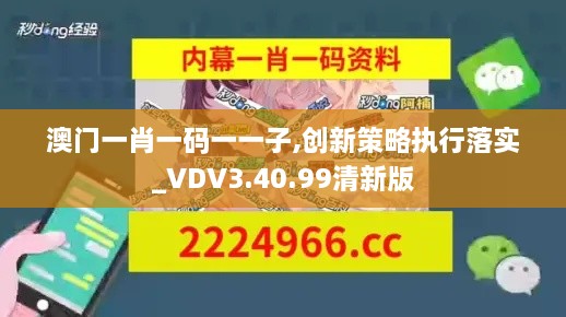 澳门一肖一码一一子,创新策略执行落实_VDV3.40.99清新版