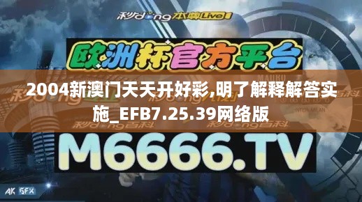 2004新澳门天天开好彩,明了解释解答实施_EFB7.25.39网络版