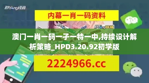 澳门一肖一码一孑一特一中,持续设计解析策略_HPD3.20.92初学版