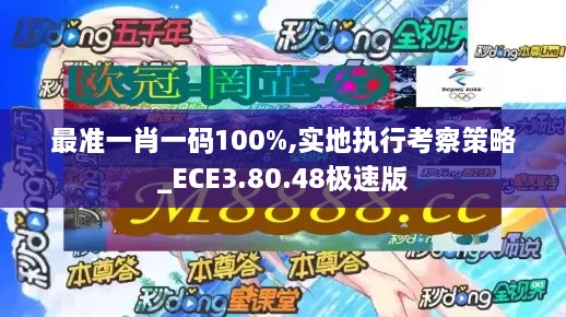 最准一肖一码100%,实地执行考察策略_ECE3.80.48极速版