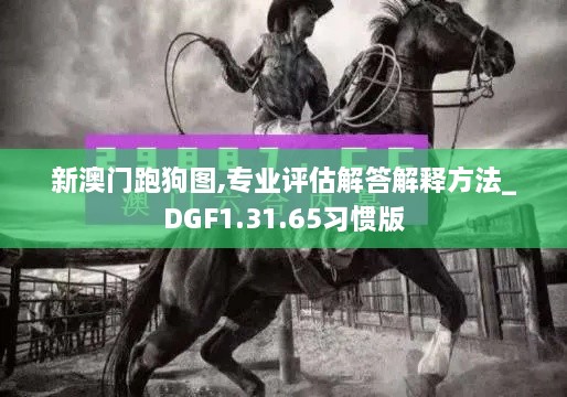 新澳门跑狗图,专业评估解答解释方法_DGF1.31.65习惯版