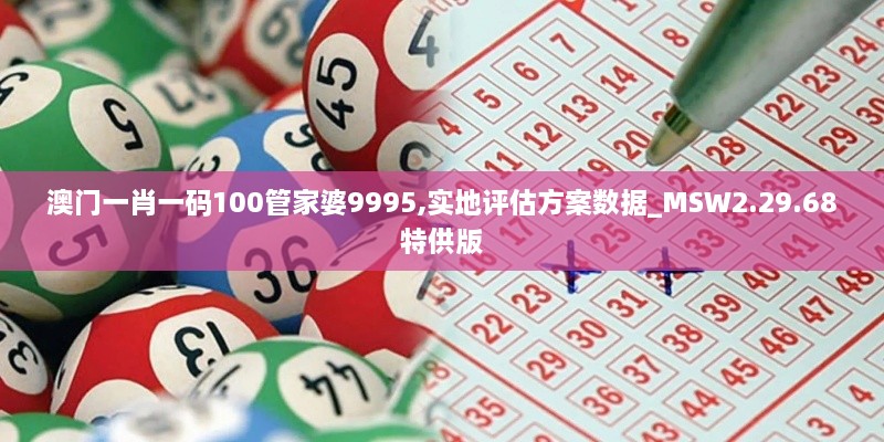 澳门一肖一码100管家婆9995,实地评估方案数据_MSW2.29.68特供版