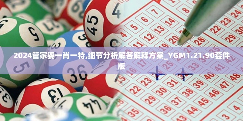 2024管家婆一肖一特,细节分析解答解释方案_YGM1.21.90套件版