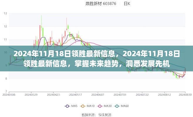 2024年11月18日领胜最新信息解析，洞悉未来趋势与发展先机