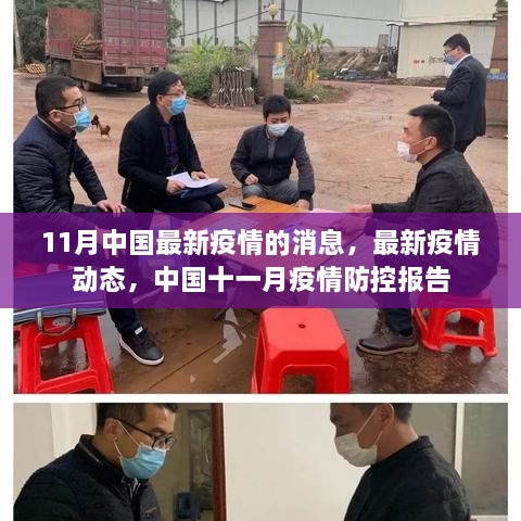 中国最新疫情动态报告，十一月疫情防控最新消息与进展分析