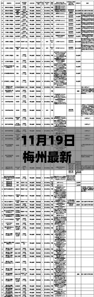 11月19日梅州最新招聘信息汇总，职场人不可错过的招聘资讯