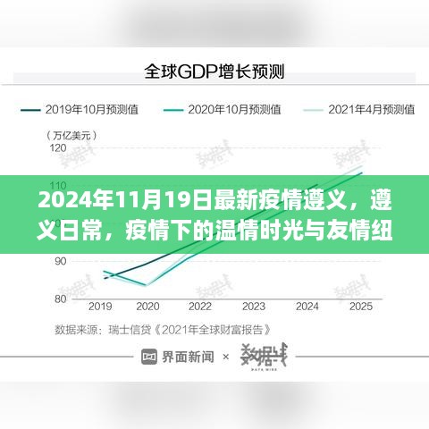 遵义疫情下的温情时光与友情纽带，日常记录至2024年11月19日